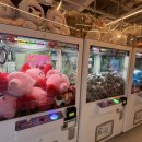 X-TOP 오락실 이미지