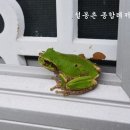 자연을 노래하다 이미지