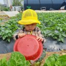 은호농장 이미지