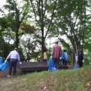 전의왕의물시장 이미지