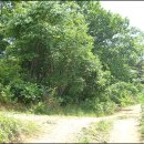 장흥 2리 이미지