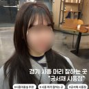 롯데대대전용크럽 | 시흥 미용실 추천 | 궁서채 시흥점 커트 • 염색 내돈내산 대만족 후기