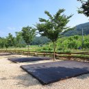 연산황산벌 오토캠핑장 이미지