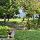 원주굽이길 19코스 기업도시둘레길 이미지