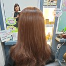 엘샤론 화명염색. [긴머리 멋내기 염색후기]