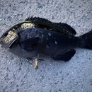 산등민박 이미지