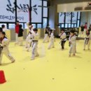 용인대윙스태권도장 이미지