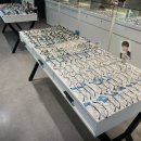 박태수안경 이미지