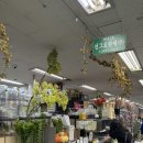 선그로원예(주) 네이버블로그