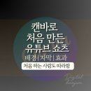 캔바,초보가 만든 유튜브 쇼츠, 괜찮을까?