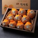 과일애제주 이미지