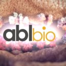 에이비엘 | [클리니컬 히스토리] 에이비엘바이오 '후기 LO' 전환점은 ABL206