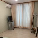윤슬 민박 | 강문민박 반려견 동반 숙박 후기