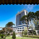 마이유기질비료 이미지