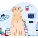 봄이든 동물병원 이미지