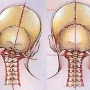 사직헬스 이미지