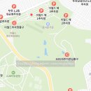 스푼필라프가야 | 대구 두류공원맛집 리미니 대구 이월드점 아이와 가기 좋은 식당, 데이트하기 좋은 이탈리안레스토랑...