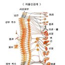 불안할 때 입맛이 없는 이유 이미지