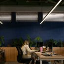 용산-225 | 여의도 척추교정 용산 마포구 자세 체형분석 센터 (고객후기)