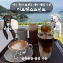 여수 돌산 대형 카페 추천 더포레스트랜드 | 반려견과...오션뷰 베이커리 카페 내돈내산 후기(주차...