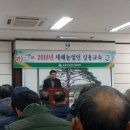 보은상록대추