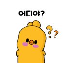 핏어펫 이미지