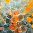 미술치료 이미지