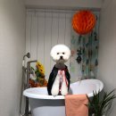 헬로우프리티 이미지