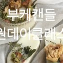 마이러브플라워