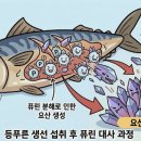 류마경대내과의원 이미지