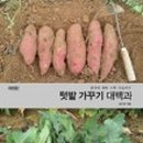 김삿갓면-43 이미지