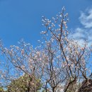 망산공원길 정자 | 통영_달아공원-망산-현금산-미륵산-미래사-용화사_260301