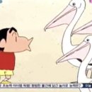 호텔스완