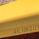 써니해피데이