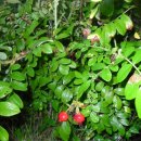 유학농장 이미지