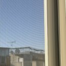 천리향샤브샤브 | 모든 관계는 흔적을 남기기 마련인데