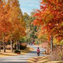 덕동 체육공원 이미지