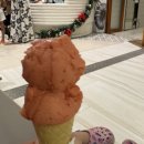 주식회사 제이어스팜 | 세부 솔레아 리조트 직접 다녀온 리얼후기!