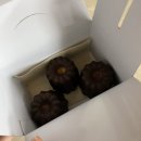 [청주시내/성안길카페] 그리프커피 Griff