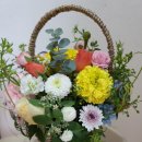 생활영어회화(초급2) 이미지