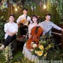 임산부의 날 기념 음악회 이미지