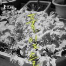풀잎의집