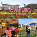 동승전자 | 돌아기의 첫 에버랜드 | 워킹 사파리 솔직후기