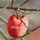 동구지회부설노인대학 이미지