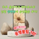 [공지] 초보 블로거가 네이버 애드 포스트 신청하고 승인받은 후기 및 애드 포스트 운영 꿀팁 10가지!