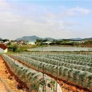 삼호보건진료소 이미지