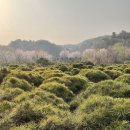 혜원농장 이미지