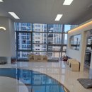 도그유토피아 더펜트 이미지