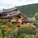 그늘집 민박 | 여름 여행이라는 구색에 맞게 가는 길도 초록으로 아름답다