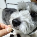 신반포로43길 35 이미지